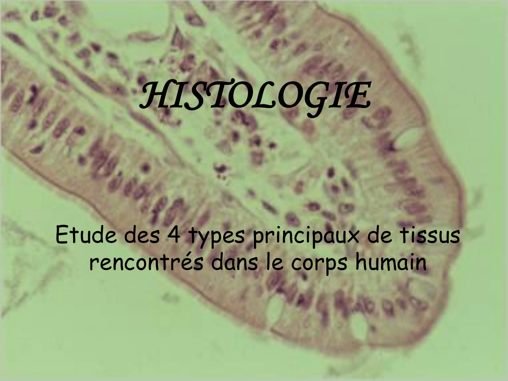 Histologie Speciale 